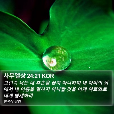 사무엘상 24:21 KOR Bible Verse Image