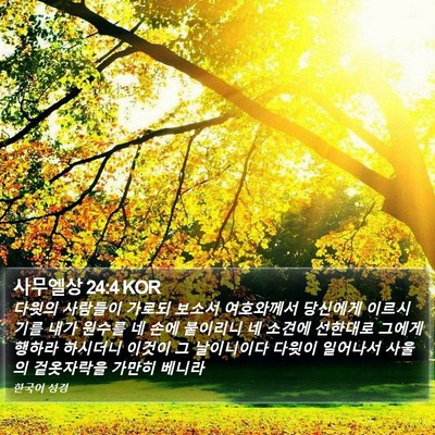 사무엘상 24:4 KOR Bible Verse Image