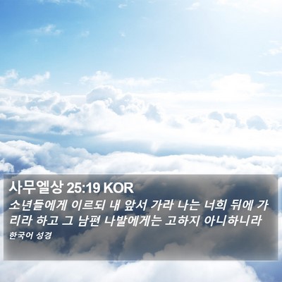 사무엘상 25:19 KOR Bible Verse Image