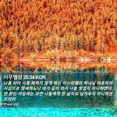 사무엘상 25:34 KOR Bible Verse Image