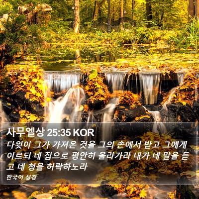 사무엘상 25:35 KOR Bible Verse Image