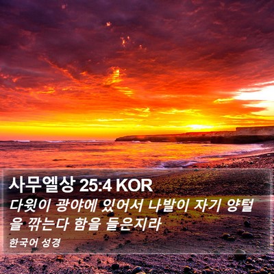 사무엘상 25:4 KOR Bible Verse Image