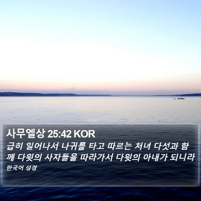 사무엘상 25:42 KOR Bible Verse Image