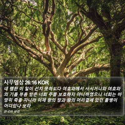 사무엘상 26:16 KOR Bible Verse Image