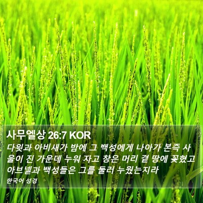 사무엘상 26:7 KOR Bible Verse Image