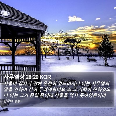 사무엘상 28:20 KOR Bible Verse Image