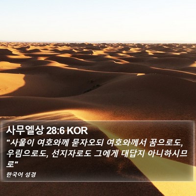사무엘상 28:6 KOR Bible Verse Image