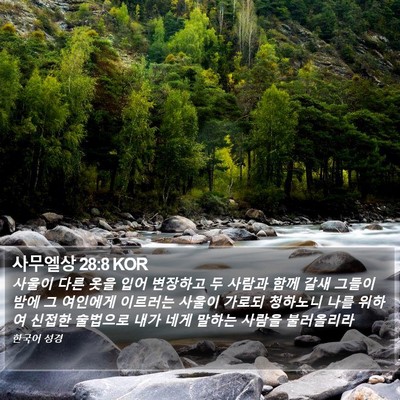 사무엘상 28:8 KOR Bible Verse Image
