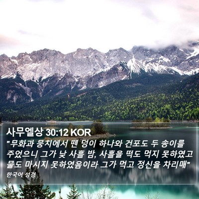 사무엘상 30:12 KOR Bible Verse Image
