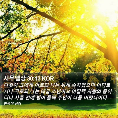 사무엘상 30:13 KOR Bible Verse Image