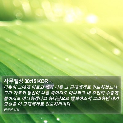 사무엘상 30:15 KOR Bible Verse Image