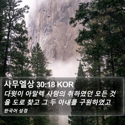 사무엘상 30:18 KOR Bible Verse Image