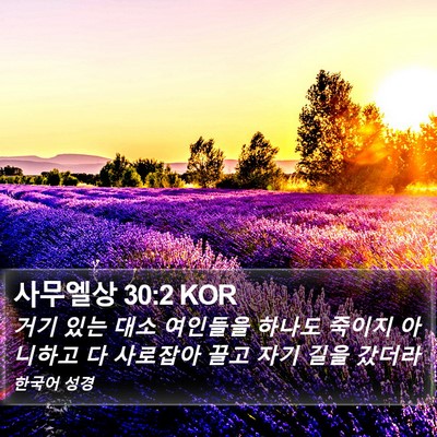 사무엘상 30:2 KOR Bible Verse Image