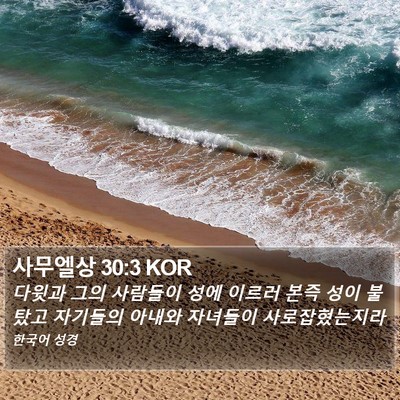 사무엘상 30:3 KOR Bible Verse Image