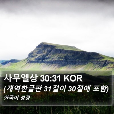 사무엘상 30:31 KOR Bible Verse Image