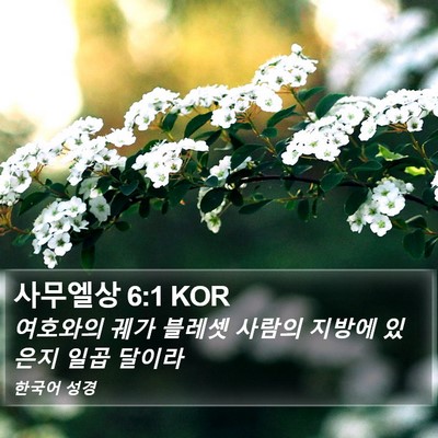사무엘상 6:1 KOR Bible Verse Image