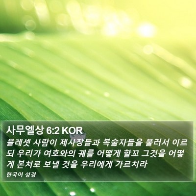 사무엘상 6:2 KOR Bible Verse Image