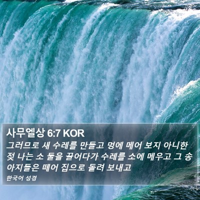 사무엘상 6:7 KOR Bible Verse Image