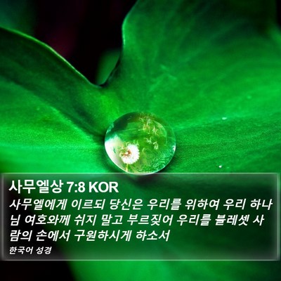 사무엘상 7:8 KOR Bible Verse Image