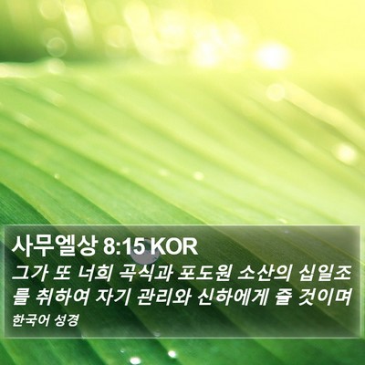 사무엘상 8:15 KOR Bible Verse Image