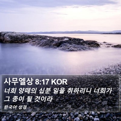 사무엘상 8:17 KOR Bible Verse Image