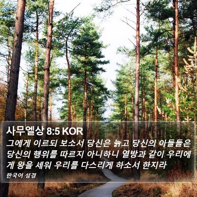 사무엘상 8:5 KOR Bible Verse Image