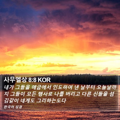 사무엘상 8:8 KOR Bible Verse Image