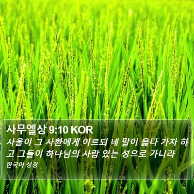 사무엘상 9:10 KOR Bible Verse Image