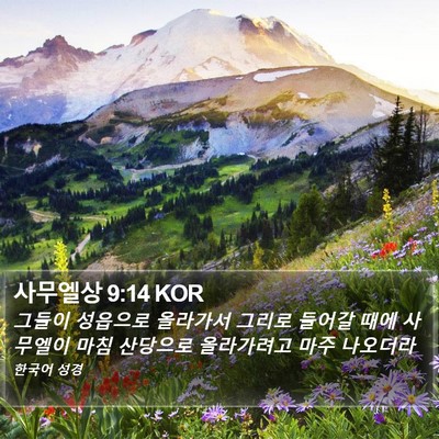 사무엘상 9:14 KOR Bible Verse Image