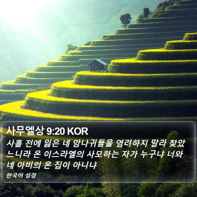 사무엘상 9:20 KOR Bible Verse Image