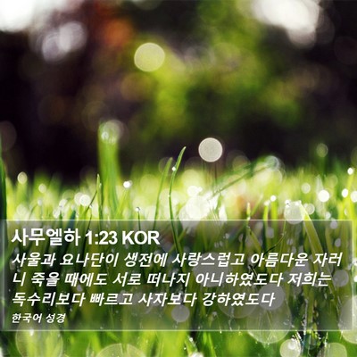 사무엘하 1:23 KOR Bible Verse Image