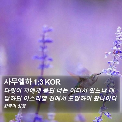 사무엘하 1:3 KOR Bible Verse Image