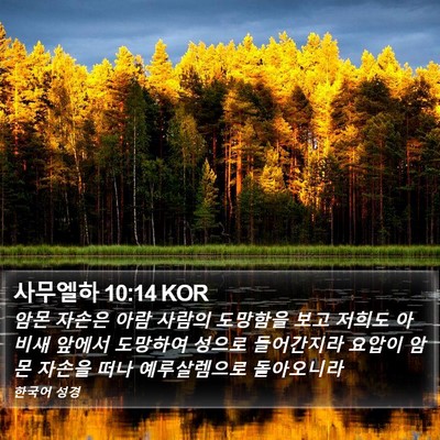 사무엘하 10:14 KOR Bible Verse Image