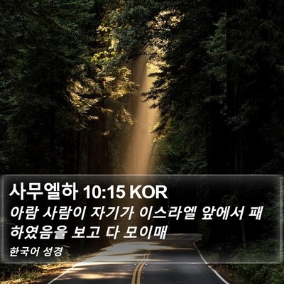 사무엘하 10:15 KOR Bible Verse Image