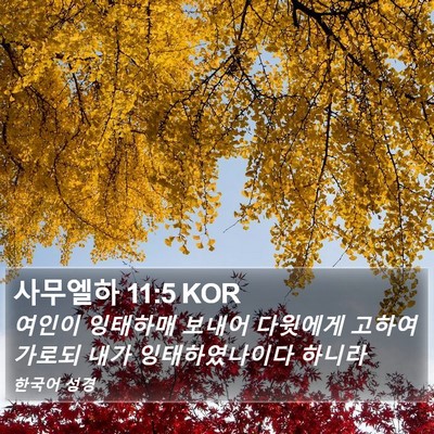 사무엘하 11:5 KOR Bible Verse Image