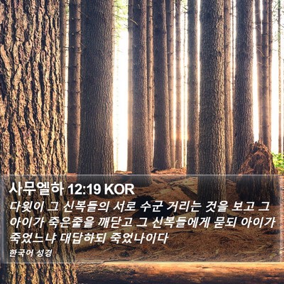 사무엘하 12:19 KOR Bible Verse Image