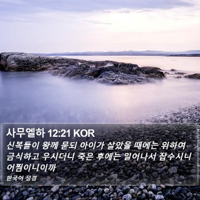 사무엘하 12:21 KOR Bible Verse Image