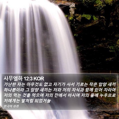 사무엘하 12:3 KOR Bible Verse Image