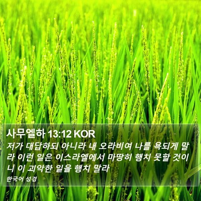 사무엘하 13:12 KOR Bible Verse Image
