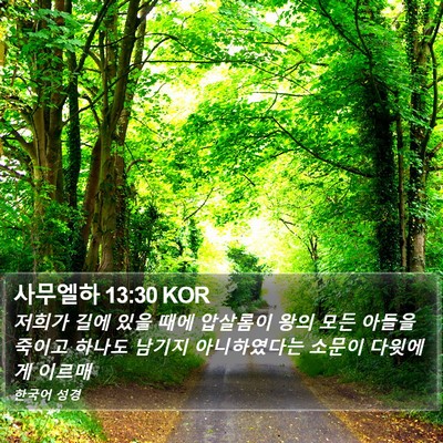사무엘하 13:30 KOR Bible Verse Image