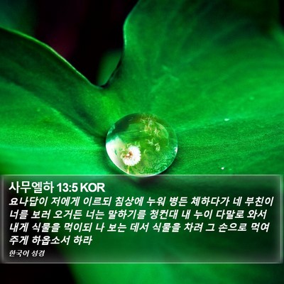 사무엘하 13:5 KOR Bible Verse Image