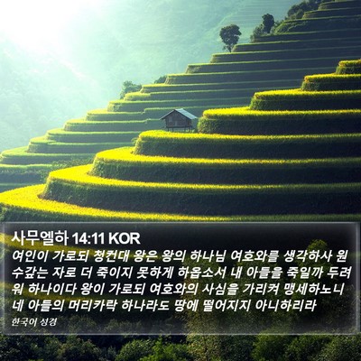 사무엘하 14:11 KOR Bible Verse Image