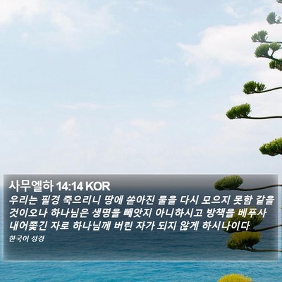 사무엘하 14:14 KOR Bible Verse Image