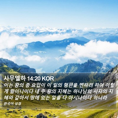 사무엘하 14:20 KOR Bible Verse Image