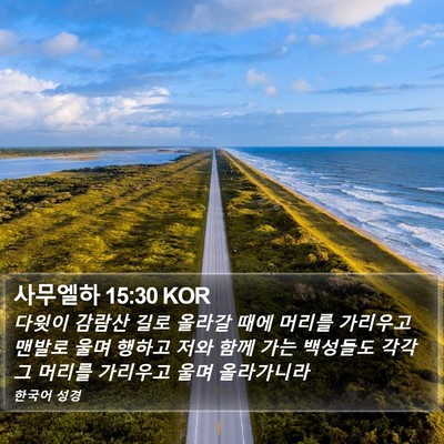 사무엘하 15:30 KOR Bible Verse Image