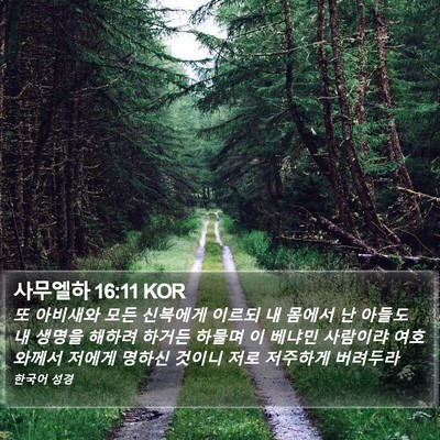 사무엘하 16:11 KOR Bible Verse Image
