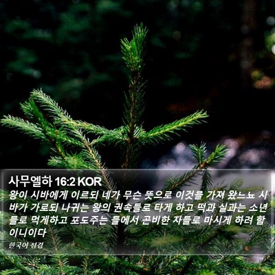 사무엘하 16:2 KOR Bible Verse Image