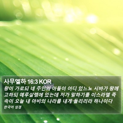 사무엘하 16:3 KOR Bible Verse Image