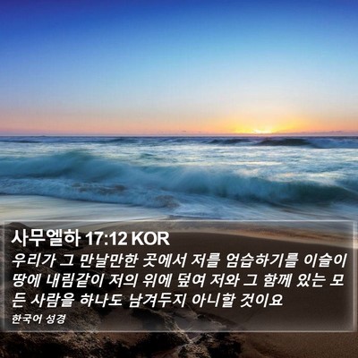사무엘하 17:12 KOR Bible Verse Image