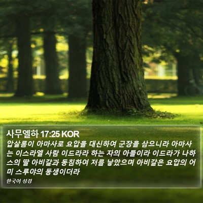 사무엘하 17:25 KOR Bible Verse Image